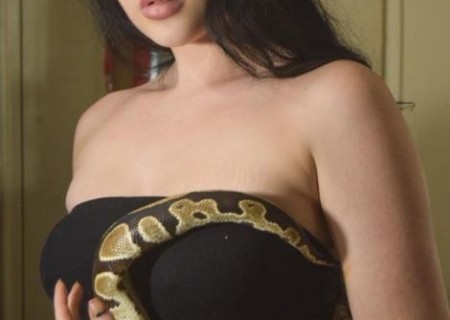 Bognor Regis | Escort Amanda-24-1444810-photo-1