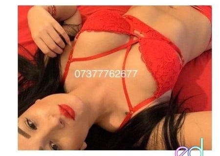 Ripon | Escort ALICE-25-1506154-photo-1