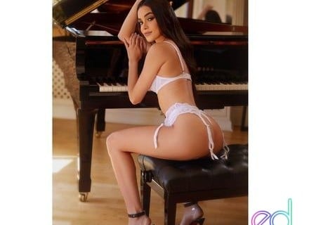 Bootle | Escort OLIVIA-23-1500027-photo-3