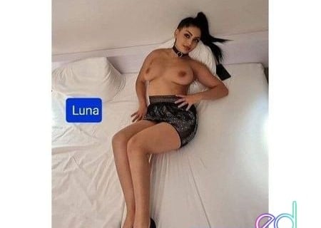 Morecambe | Escort Luna-26-1499109-photo-2